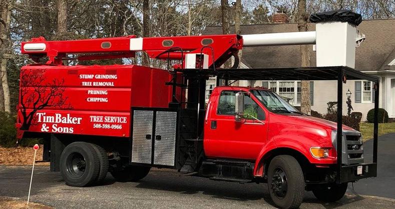 Tree Removal | Cape Cod Tree Service