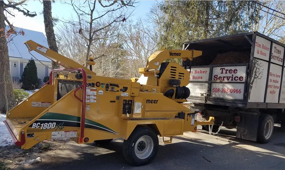 Cape Cod Tree Service | Cape Cod Tree Removal, Stump Grinding & Tree